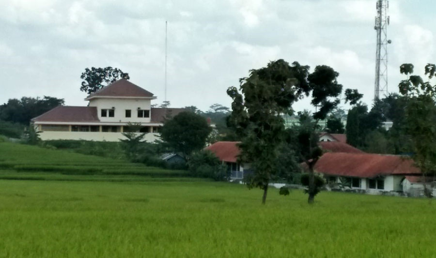kisuta